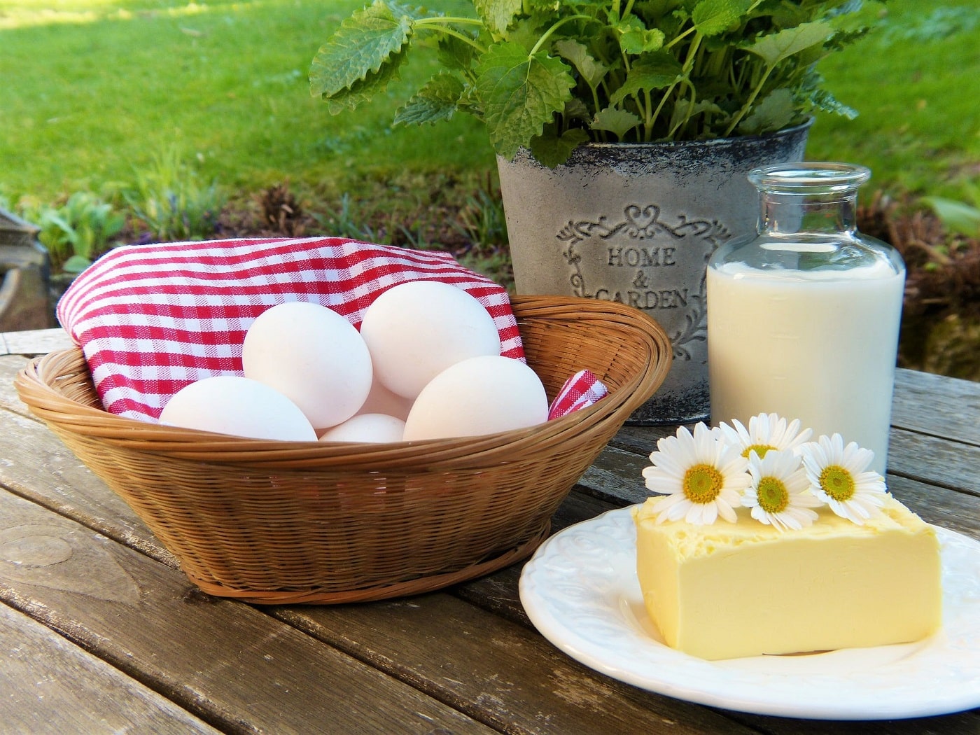 מוצרי חלב שונים בייצים גבינה וחלב בגינה