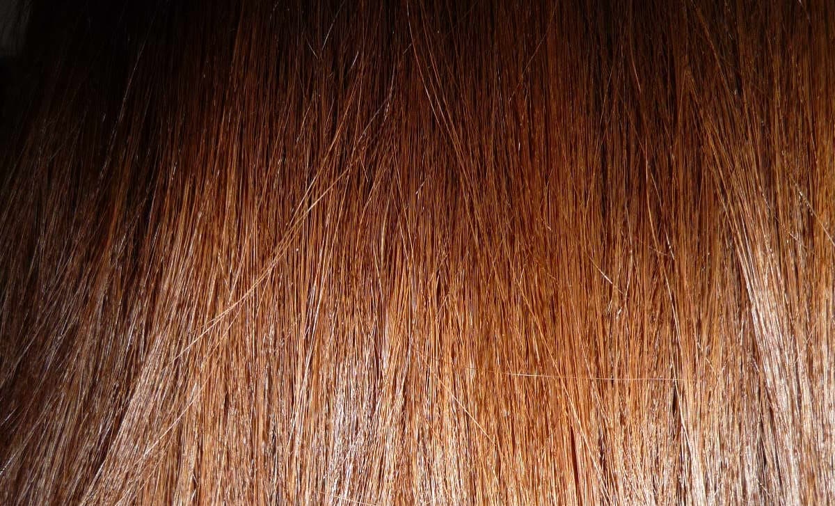 קלואוז אפ של שיער נשי בצבע חום