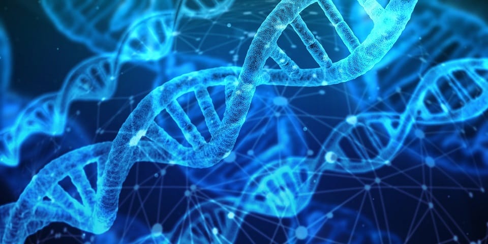 תמונה של קוד DNA